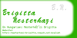 brigitta mesterhazi business card